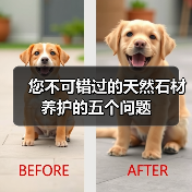 您不可错过的天然石材养护的五个问题（图3）