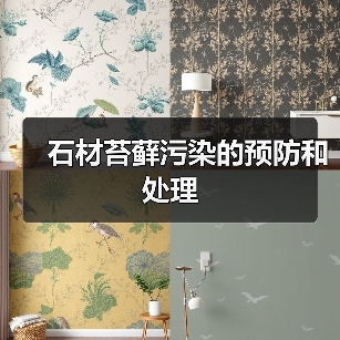 石材苔藓污染的预防和处理（图2）