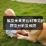 埃及米黄类石材常见的病变分析及预防（图2）