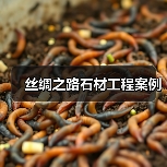 丝绸之路石材工程案例（图2）