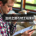 丝绸之路石材工程案例（图1）