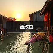 直纹白（图2）