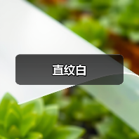直纹白（图4）