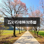 五彩石楼梯现场图（图3）