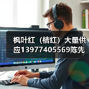 枫叶红（桔红）大量供应13977405569陈先生（图2）