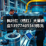 枫叶红（桔红）大量供应13977405569陈先生（图4）
