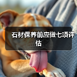 石材保养前应做七项评估（图4）
