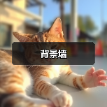 背景墙（图2）