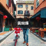 黄蝴蝶（图3）