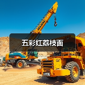 五彩红荔枝面(图1) 五彩红荔枝面(图1)