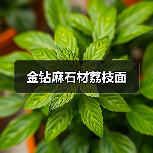 金钻麻石材荔枝面(图4) 金钻麻石材荔枝面(图4)