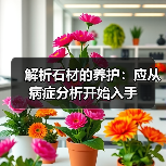 解析石材的养护:应从病症分析开始入手(图4) 解析石材的养护:应从病症分析开始入手(图4)
