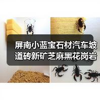 屏南小蓝宝石材汽车坡道砖新矿芝麻黑花岗岩减速带石（图4）
