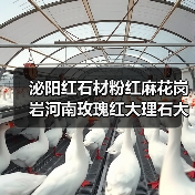 泌阳红石材粉红麻花岗岩河南玫瑰红大理石大理石光面广场地铺工程(图3) 泌阳红石材粉红麻花岗岩河南玫瑰红大理石大理石光面广场地铺工程(图3)