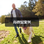 高铁站案例（图3）