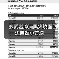 玄武岩漳浦黑火烧面四边自然小方块（图3）
