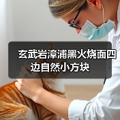 玄武岩漳浦黑火烧面四边自然小方块（图2）