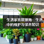 生活家宜居指南:生活中的维护与保养知识(图3) 生活家宜居指南:生活中的维护与保养知识(图3)