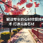 解读专业的石材修复技术 打造完美石材(图2) 解读专业的石材修复技术 打造完美石材(图2)