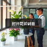 封开花斧剁面（图3）