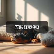 五彩红案例3（图1）