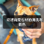 论述病变石材的清洗与着色（图1）