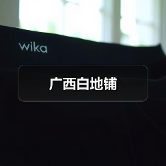 广西白地铺（图1）