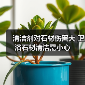 清洁剂对石材伤害大 卫浴石材清洁需小心（图2）