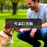 岑溪红光板（图4）