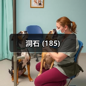 洞石 (185)（图3）