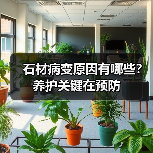 石材病变原因有哪些？养护关键在预防（图2）