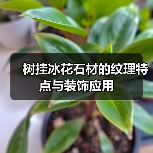 树挂冰花石材的纹理特点与装饰应用（图2）
