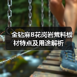 金钻麻B花岗岩荒料板材特点及用途解析（图2）