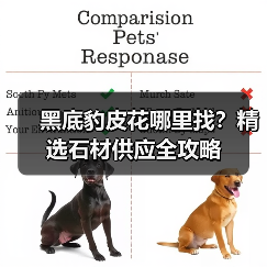 黑底豹皮花哪里找？精选石材供应全攻略（图2）