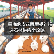 黑底豹皮花哪里找？精选石材供应全攻略（图1）