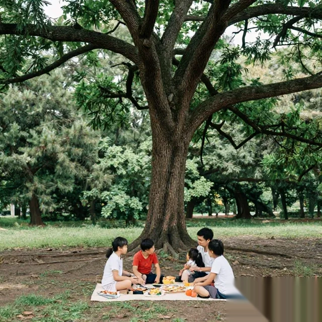 芝麻灰花岗岩河南灰麻毛光板条板厂家低价促销（图1）