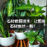 石材修复技术：让厨房石材焕然一新？（图4）