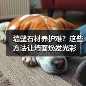 墙壁石材养护难？这些方法让墙面焕发光彩（图4）
