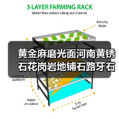 黄金麻磨光面河南黄锈石花岗岩地铺石路牙石外挂石石材厂家直销（图2）