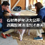 石材养护秘诀大公开:远离酸碱清洁剂才是关键(图2) 石材养护秘诀大公开:远离酸碱清洁剂才是关键(图2)