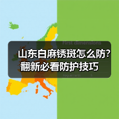 山东白麻锈斑怎么防？翻新必看防护技巧（图3）
