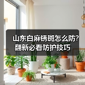山东白麻锈斑怎么防？翻新必看防护技巧（图2）