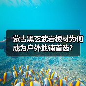蒙古黑玄武岩板材为何成为户外地铺首选?(图3) 蒙古黑玄武岩板材为何成为户外地铺首选?(图3)