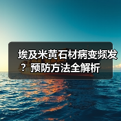 埃及米黄石材病变频发？预防方法全解析（图2）