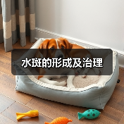 水斑的形成及治理（图2）