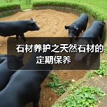 石材养护之天然石材的定期保养（图3）