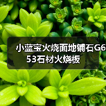 小蓝宝火烧面地铺石G653石材火烧板（图2）