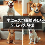小蓝宝火烧面地铺石G653石材火烧板（图1）