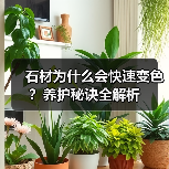 石材为什么会快速变色?养护秘诀全解析(图1) 石材为什么会快速变色?养护秘诀全解析(图1)