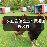 火山岩怎么选？景观工程必看（图1）